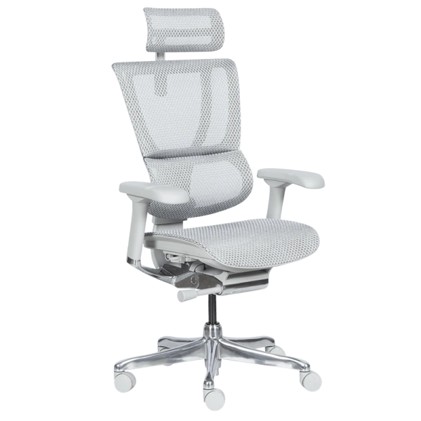 Ергономичен стол ERGOHUMAN IOO ELITE 2 - сива рамка - сив